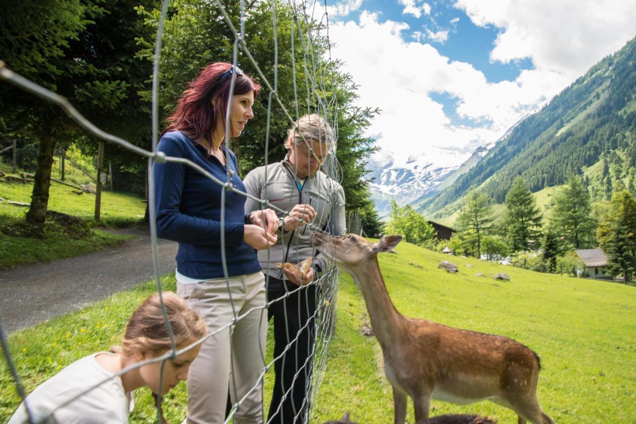 Oberreiter'S Alpennest Appartement Fusch an der Grossglocknerstrasse Buitenkant foto