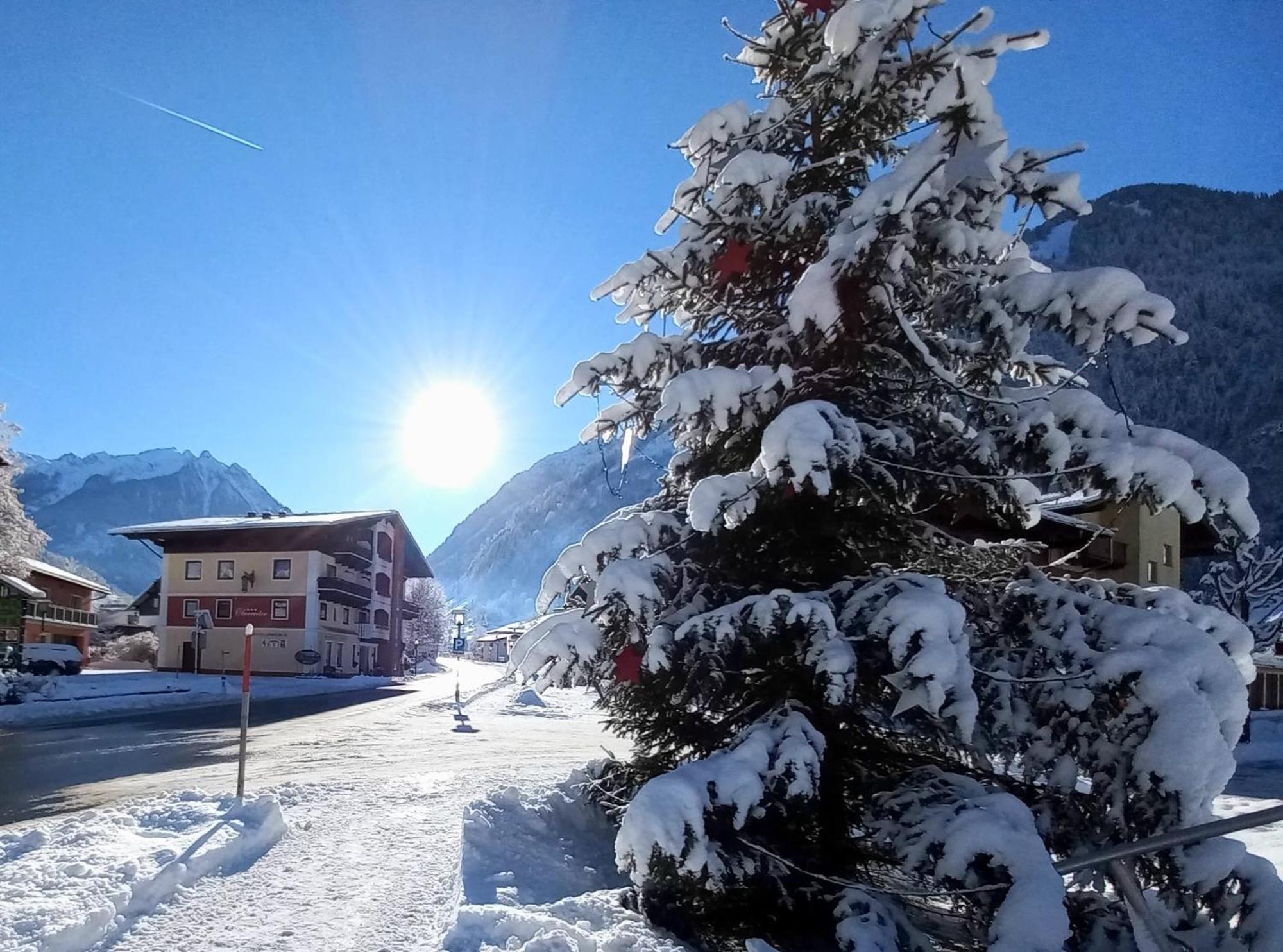 Oberreiter'S Alpennest Appartement Fusch an der Grossglocknerstrasse Buitenkant foto