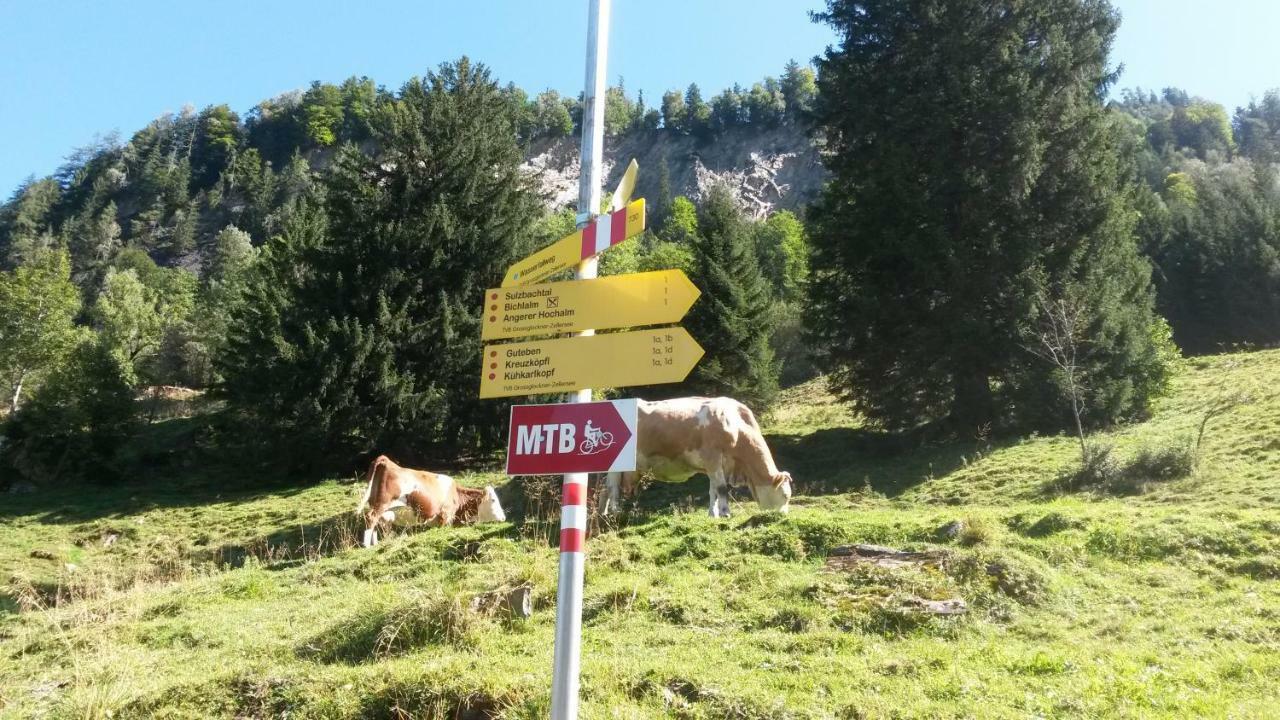 Oberreiter'S Alpennest Appartement Fusch an der Grossglocknerstrasse Buitenkant foto